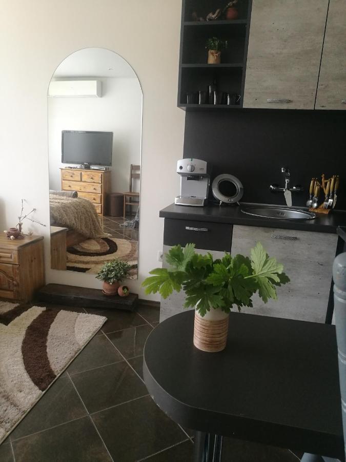 ספרבה בניה Studio Anastasia מראה חיצוני תמונה
