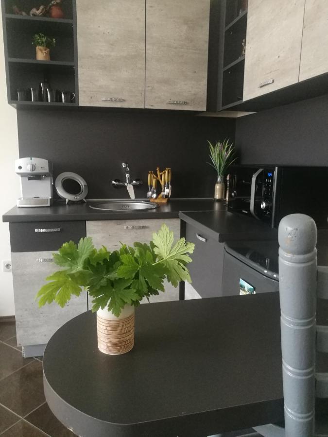 ספרבה בניה Studio Anastasia מראה חיצוני תמונה