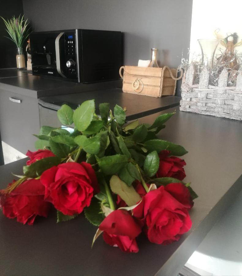 ספרבה בניה Studio Anastasia מראה חיצוני תמונה